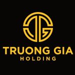 CÔNG TY CỔ PHẦN ĐẦU TƯ TRƯƠNG GIA HOLDING