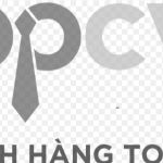 Công ty cổ phần All Origin Việt Nam