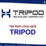 CÔNG TY TNHH ELECTRONIC TRIPOD VIỆT NAM