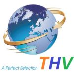 Công Ty Cổ Phần Hợp Tác Đào Tạo Và Phát Triển Nguồn Nhân Lực Quốc Tế - THV