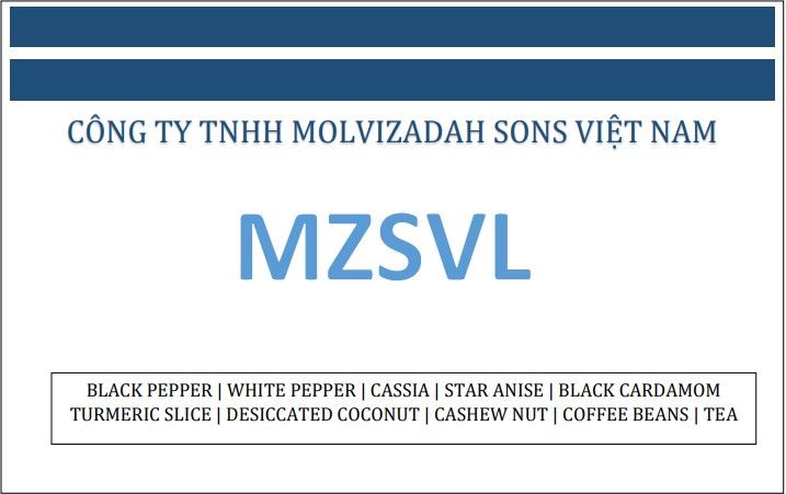 Công Ty TNHH MOLVIZADAH SONS Việt Nam
