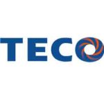 CHI NHÁNH CÔNG TY TNHH ĐIỆN CƠ TECO (VIỆT NAM) TẠI BÌNH DƯƠNG