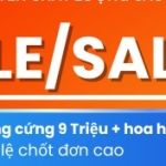 CÔNG TY TNHH KNOREX VIỆT NAM
