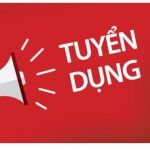 CÔNG TY TNHH ĐẦU TƯ THƯƠNG MẠI DỊCH VỤ VIỄN THÔNG TTC