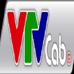 CÔNG TY TNHH MỘT THÀNH VIÊN HẠ TẦNG VIỄN THÔNG VTVCAB