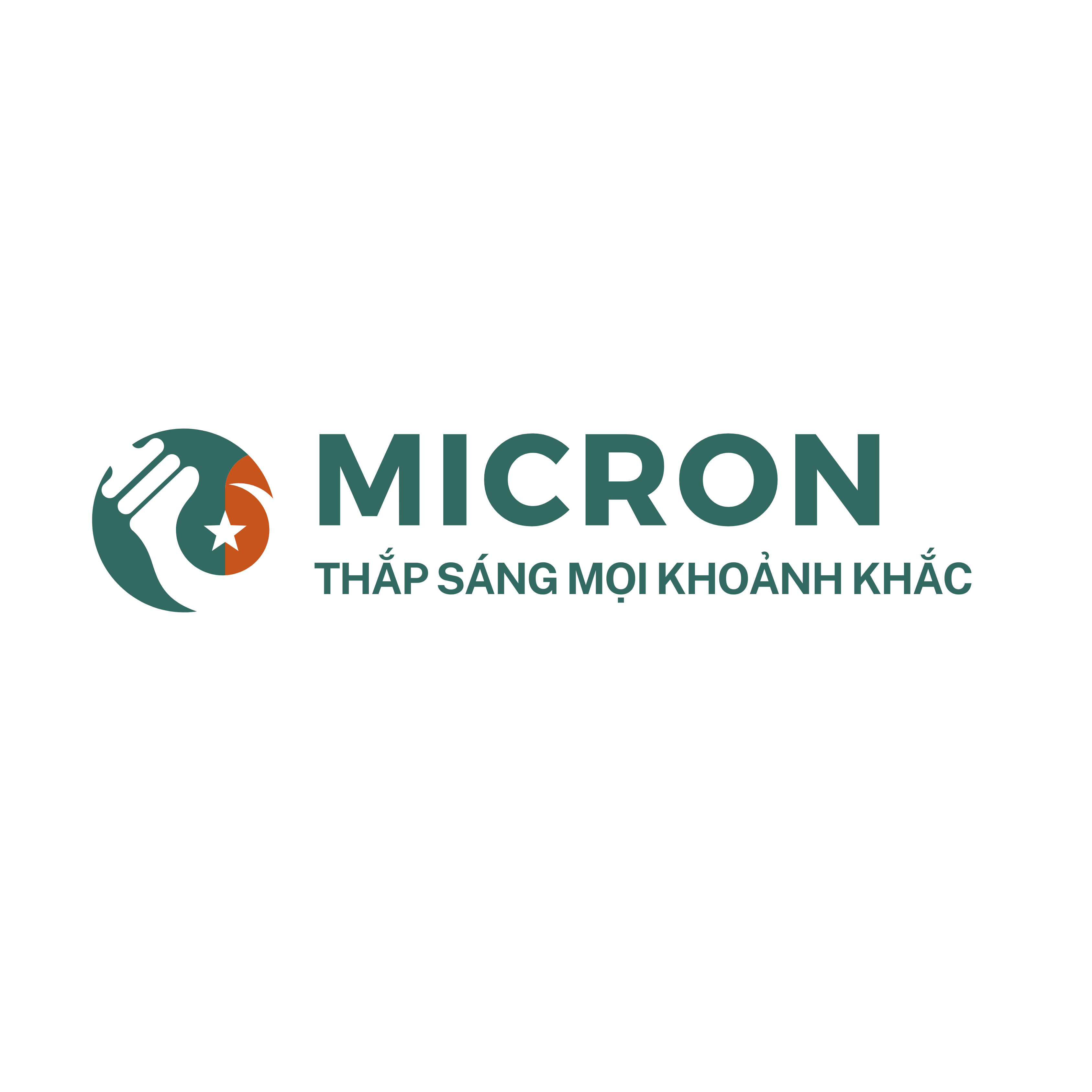CÔNG TY CỔ PHẦN TẬP ĐOÀN ĐIỆN ĐIỆN TỬ MICRON VIỆT NAM