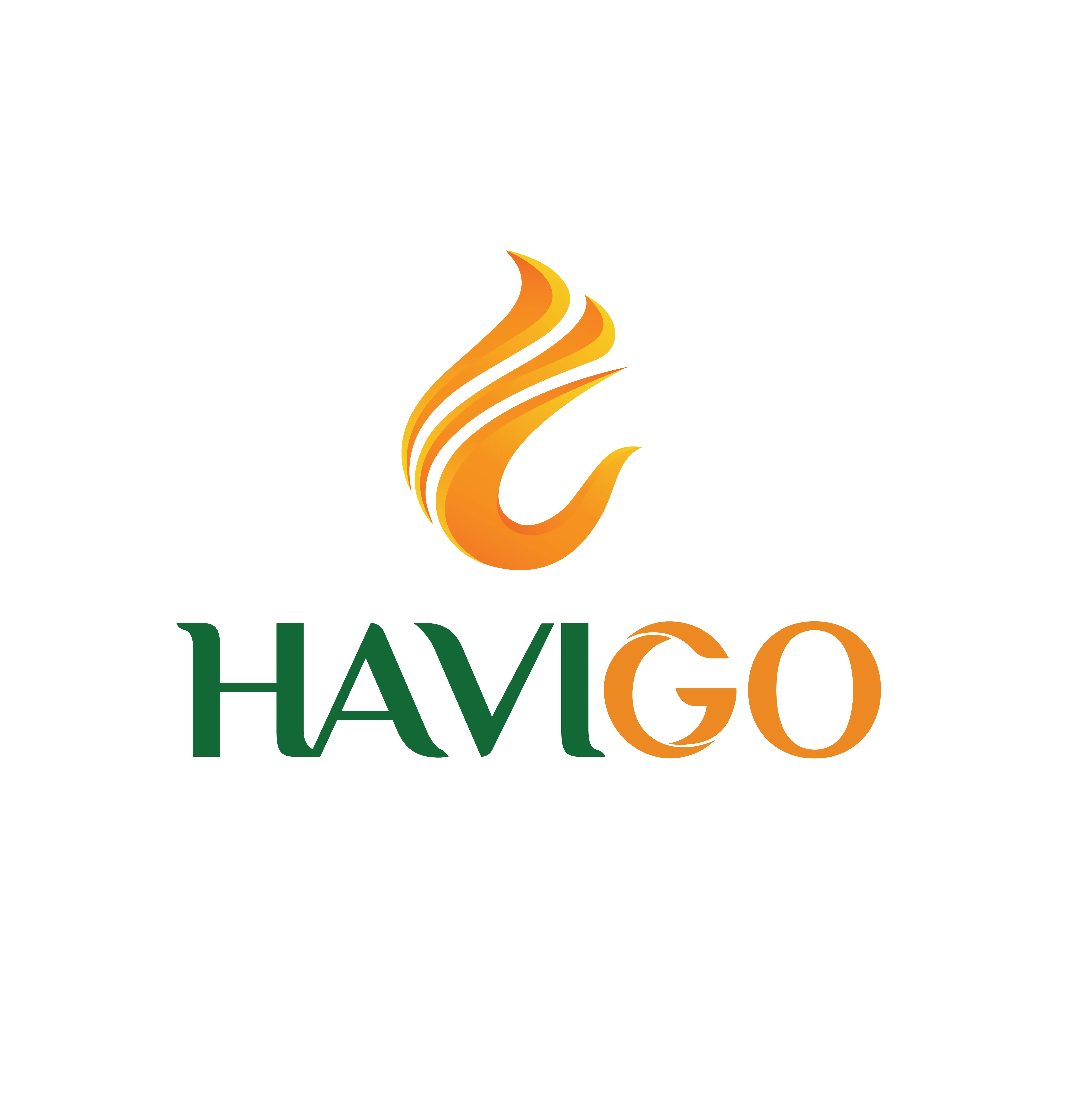 CÔNG TY TNHH HAVIGO
