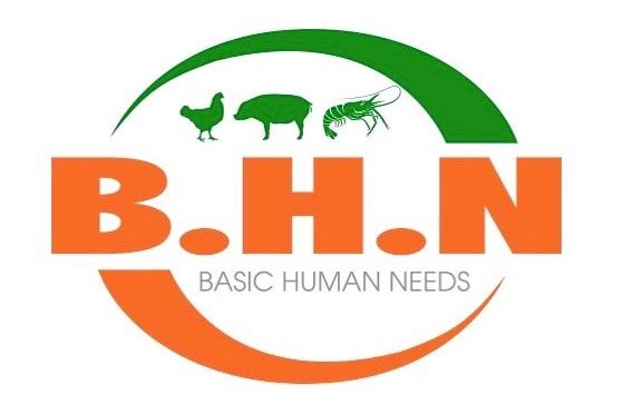 Công ty TNHH B.H.N
