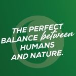 CÔNG TY CỔ PHẦN BALANCE DISTRIBUTION