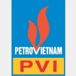 Công ty cổ phần PVI (PVI Holdings)