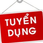 Công ty TNHH Việt Nhật