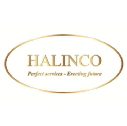 Công ty cổ phần Halinco