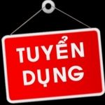 Công ty Cổ phần Kim Khí Vật Liệu Điện