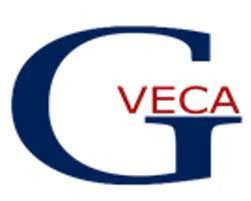 CÔNG TY TNHH XD VIỆT GIAI GIAI