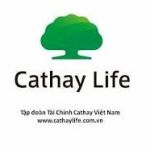 Công ty TNHH BHNT Cathay