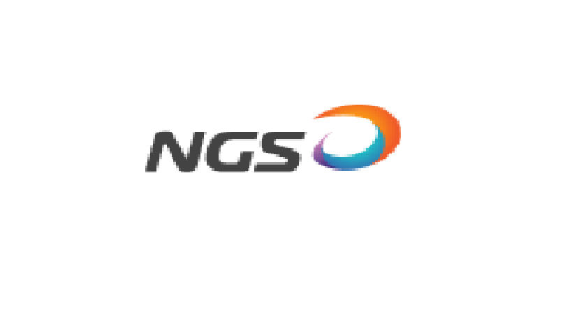 NGS INVESTMENT AND TECHNOLOGY ONE MEMBER COMPANY LIMITED