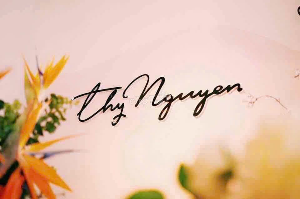 HỘ KINH DOANH THY NGUYỄN