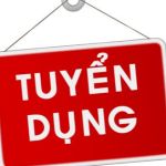 Công ty Cổ phần Công nghệ Giải pháp Thi Thiên