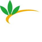 Công Ty TNHH Giải Pháp Khỏe Thái Dương