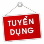 Công Ty TNHH Caster City Việt Nam