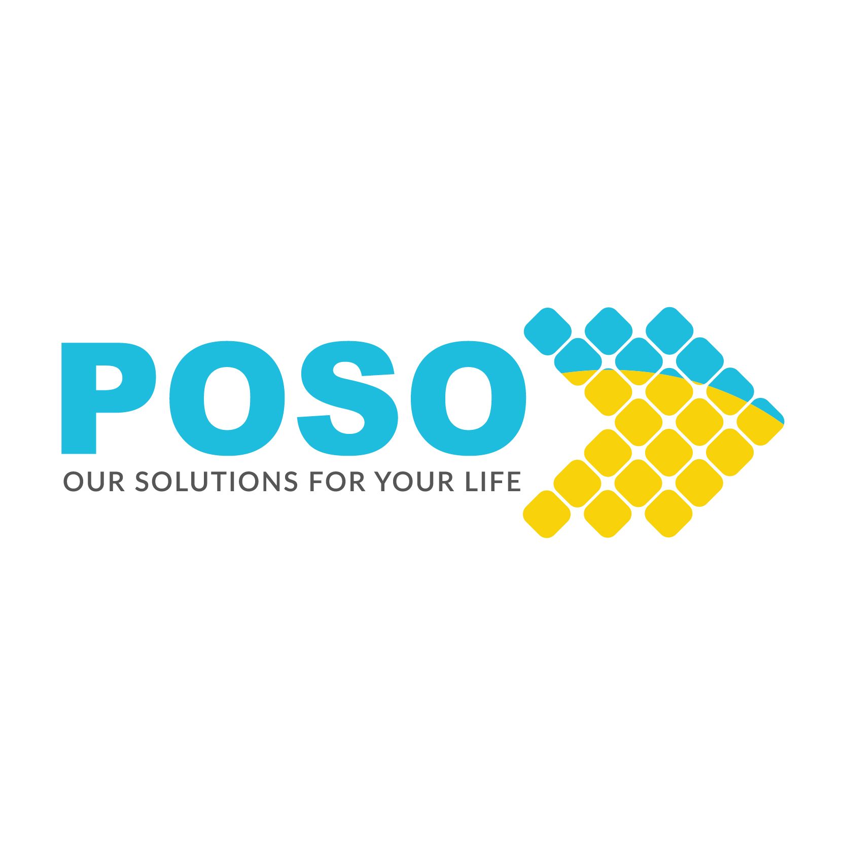 Công ty Cổ phần POSO Việt Nam