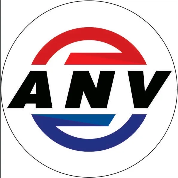 Công Ty Cổ Phần Giải Pháp An Ninh Việt