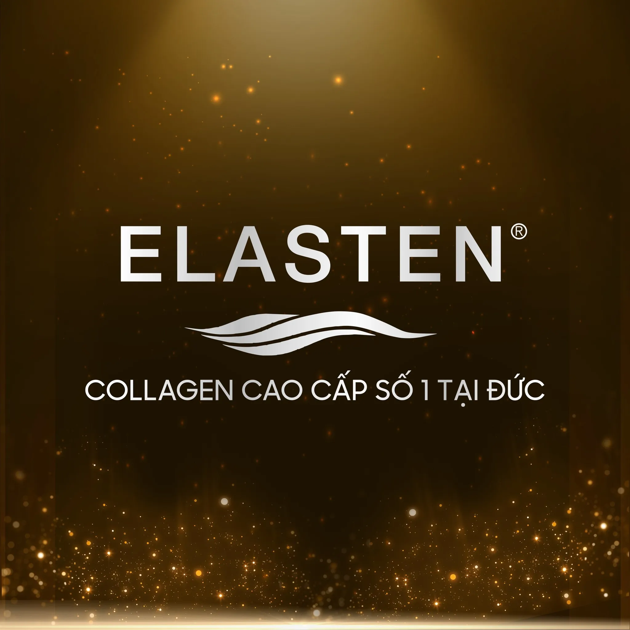 Công Ty TNHH Elasten Việt Nam