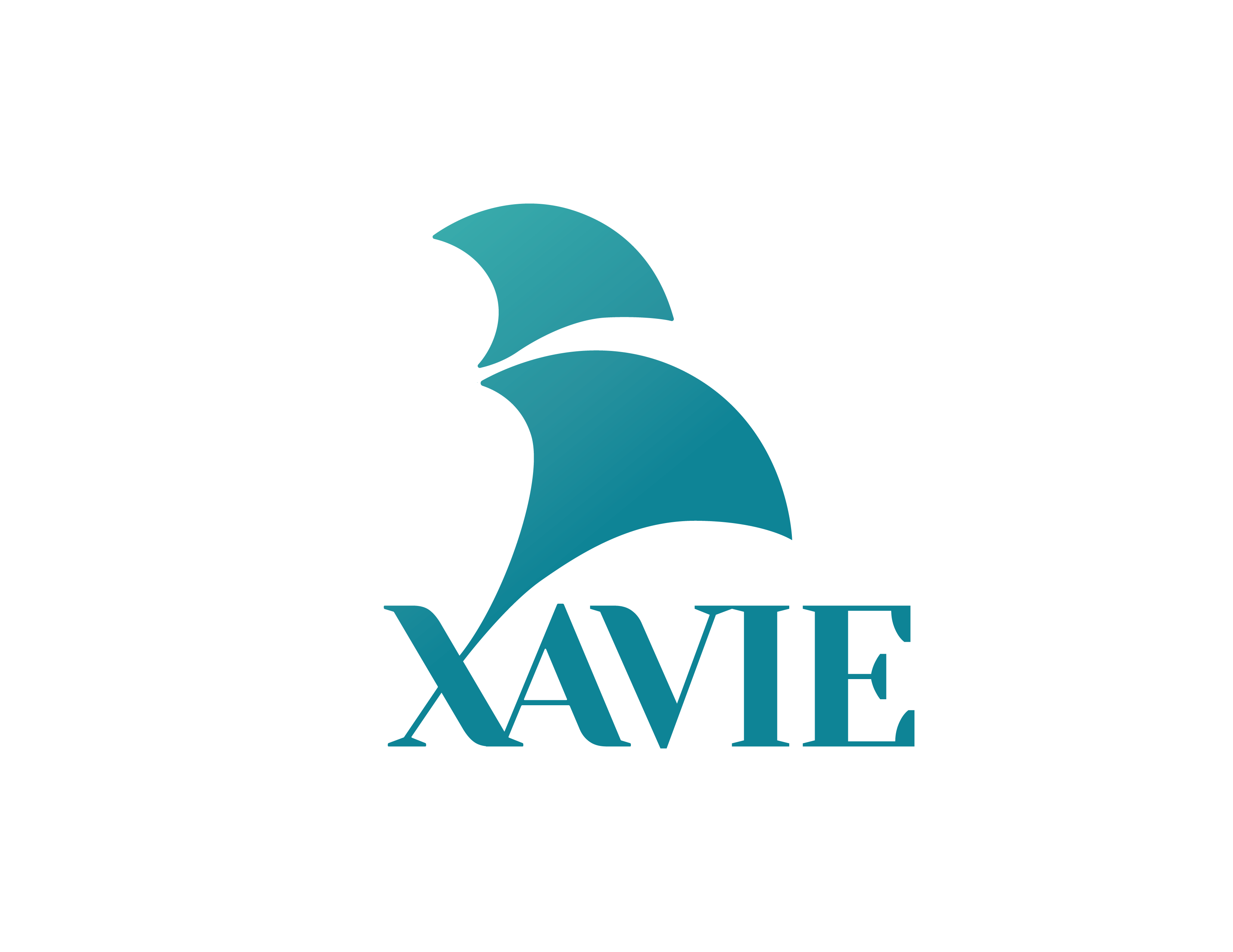 Công ty TNHH Công nghệ Xavie