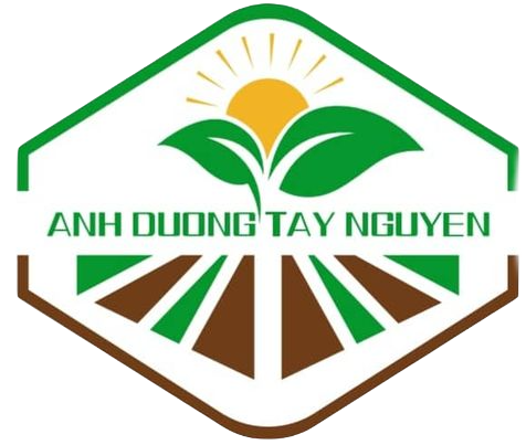Công ty TNHH Ánh Dương Tây Nguyên