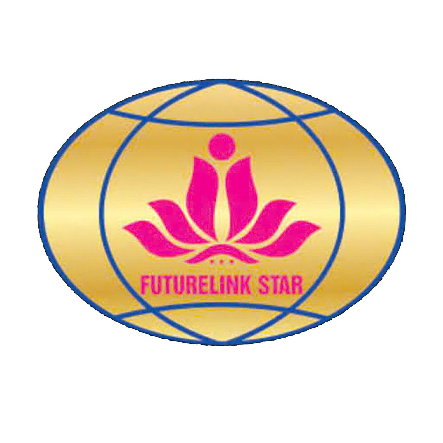 CÔNG TY TNHH QUỐC TẾ FUTURELINK STAR