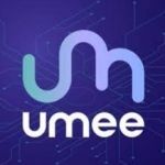 CÔNG TY CỔ PHẦN TẬP ĐOÀN TÀI CHÍNH CÔNG NGHỆ UMEE