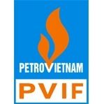 CÔNG TY CỔ PHẦN ĐẦU TƯ TÀI CHÍNH BẢO HIỂM DẦU KHÍ