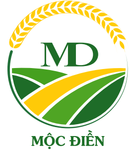 CÔNG TY CỔ PHẦN MỘC ĐIỀN