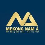 Công ty Cổ phần Đầu tư Mekong Nam Á
