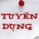 CÔNG TY STI ENGINEERING B.V