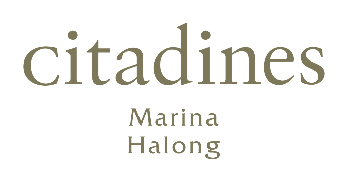 Công ty TNHH đầu tư phát triển sản xuất Hạ Long