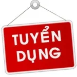 CÔNG TY TNHH DỊCH VỤ VÀ THƯƠNG MẠI M.T.O