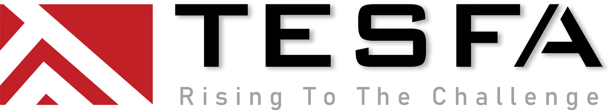 CÔNG TY TNHH TESFA