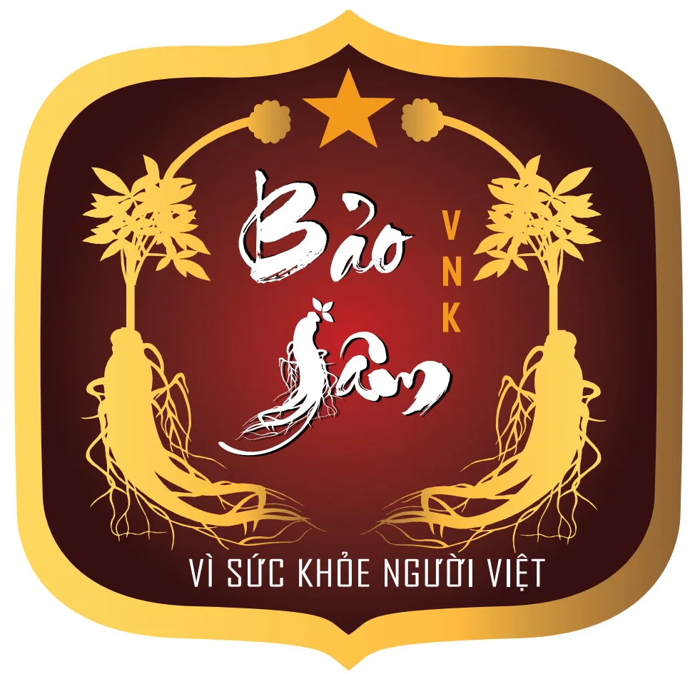 CÔNG TY CỔ PHẦN TMDV BẢO SÂM VNK