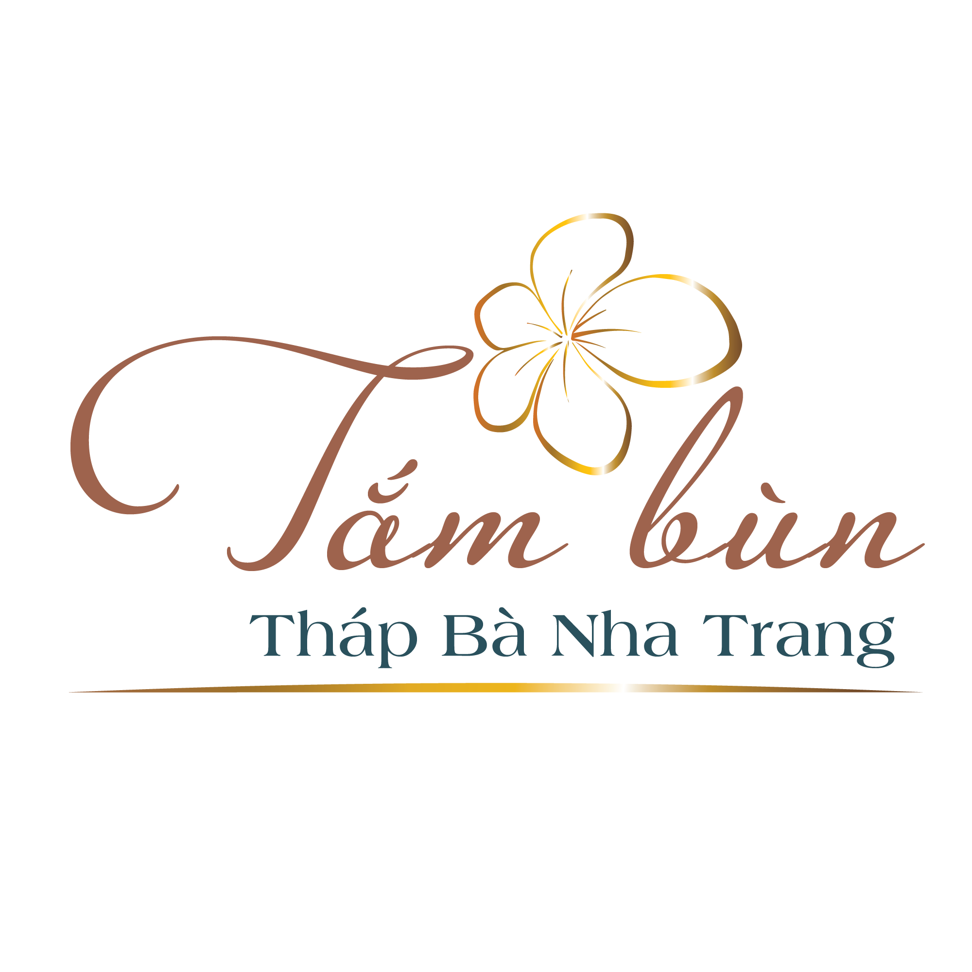 Công ty TNHH Sao Mai Thế kỷ 21