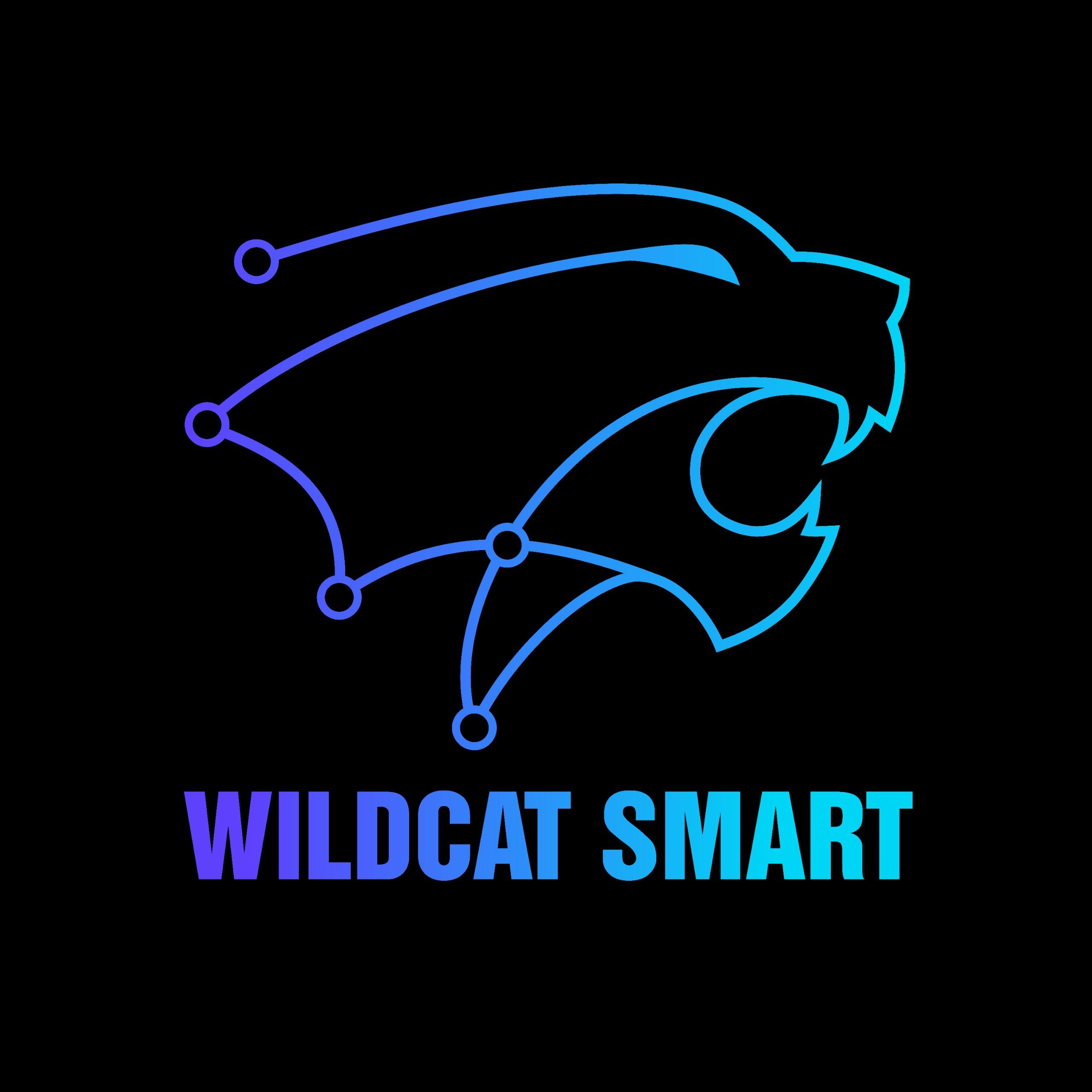CÔNG TY CỔ PHẦN GIẢI PHÁP CÔNG NGHỆ THÔNG MINH WILDCAT