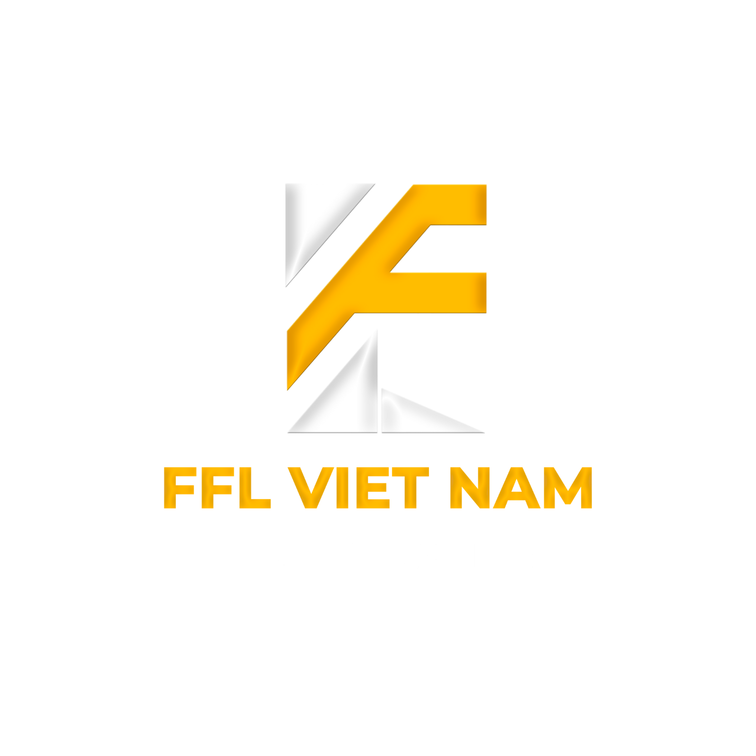 CÔNG TY TNHH THƯƠNG MẠI FFL VIỆT NAM