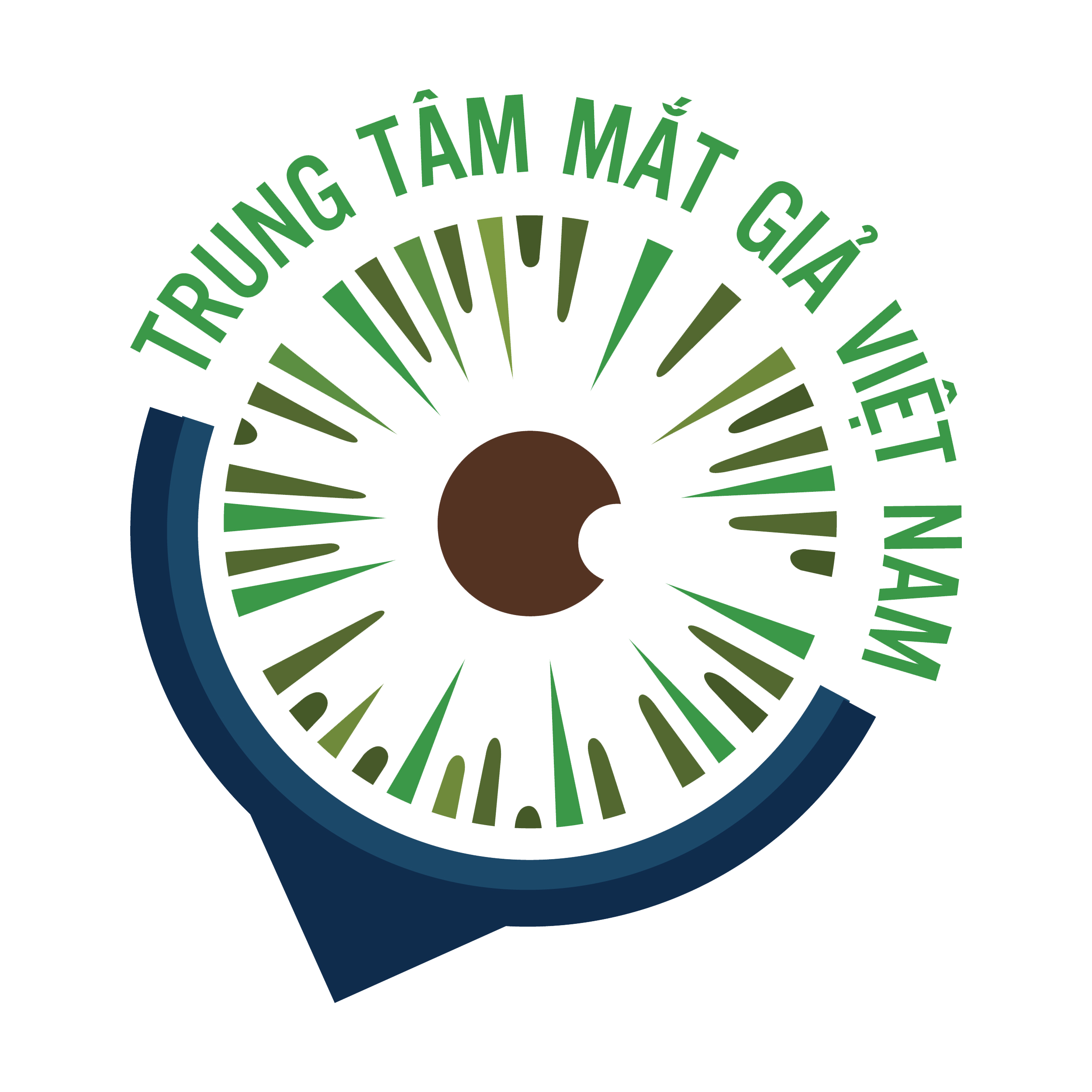 CÔNG TY TNHH TRUNG TÂM MẮT GIẢ VIỆT NAM