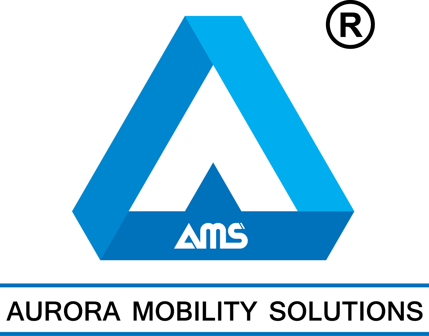 CÔNG TY CỔ PHẦN AMS