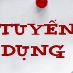 Công Ty Cổ Phần Trần Anh Đông Nam Bộ