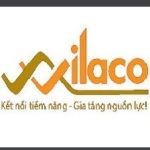 CÔNG TY CỔ PHẦN NHÂN LỰC QUỐC TẾ VIỆT