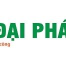 CÔNG TY TNHH ĐẠI PHÁT DARIUS