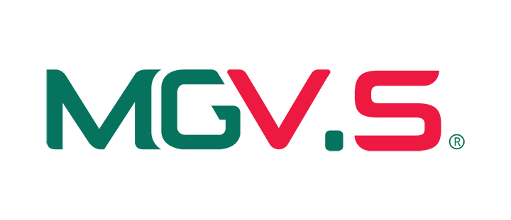 CÔNG TY CỔ PHẦN BẤT ĐỘNG SẢN MGVS