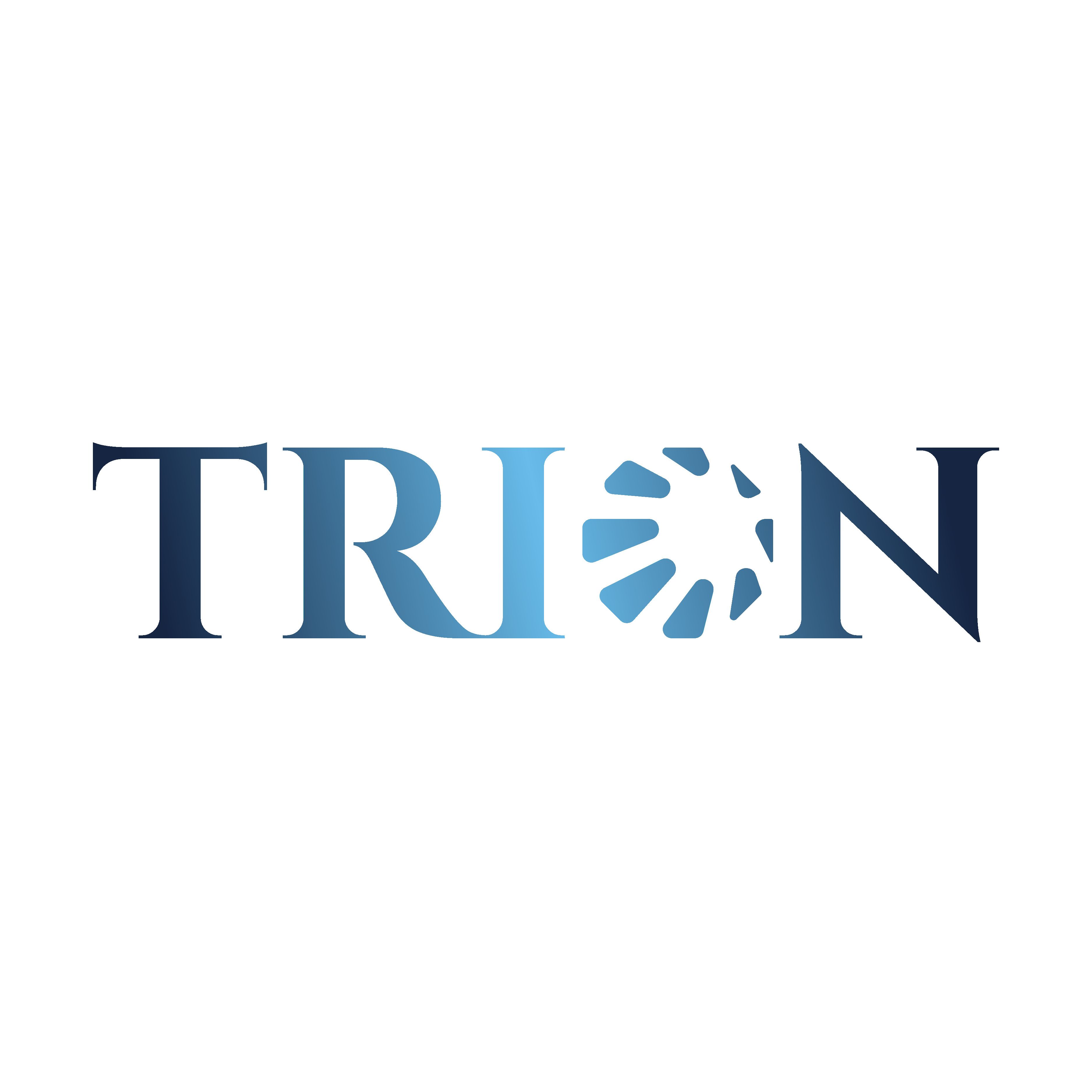 CÔNG TY TNHH TRION VIỆT NAM