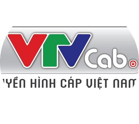 CHI NHÁNH CÔNG TY CỔ PHẦN TỔNG CÔNG TY TRUYỀN HÌNH CÁP VIỆT NAM TẠI THÀNH PHỐ HỒ CHÍ MINH